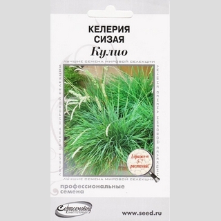 Келерия Кулио (Тонконог)