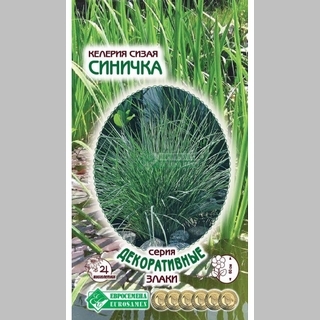 Келерия Синичка сизая (овсяница)