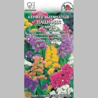 Статица Пацифик