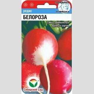 Редис Белороза смесь сортов