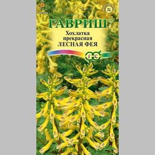 Хохлатка Лесная фея (прекрасная)