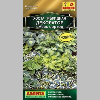 Хоста Декоратор смесь сортов