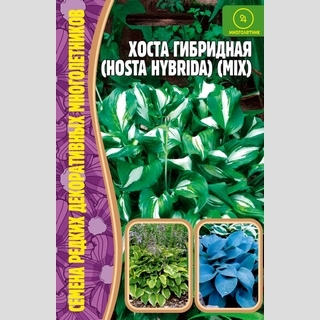 Хоста гибридная (большой пакет)