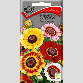 Хризантема килеватая Смесь окрасок