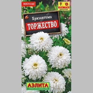 Хризантема Торжество букетная