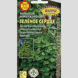 Кирказон Зелёное сердце (маньчжурский)