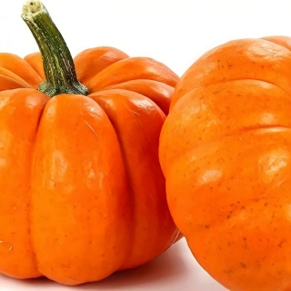 Тыква Кладовая Здоровья