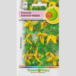 Клематис Локатор любви