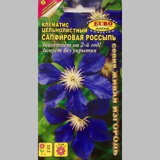 Клематис Сапфировая россыпь (цельнолистный)