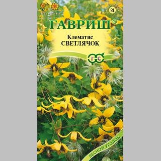 Клематис Светлячок