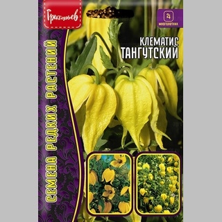 Клематис Тангутский (большой пакет)