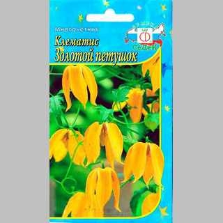 Клематис Золотой петушок