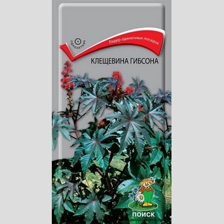 Клещевина Гибсона (декоративная)