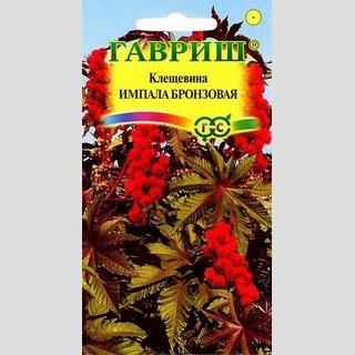 Клещевина Импала бронзовая