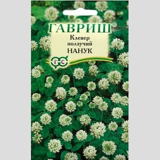 Клевер Нанук ползучий белый 20г (большой пакет)