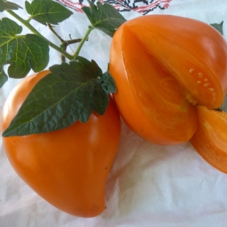 Томат Немецкая оранжевая клубника