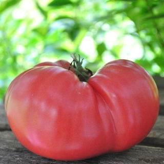 Томат Немецкая клубника