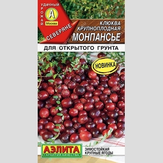 Клюква Монпансье крупноплодная