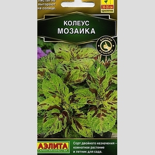 Колеус Визард Мозаика