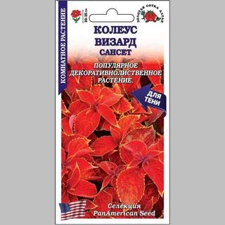 Колеус Визард Сансет