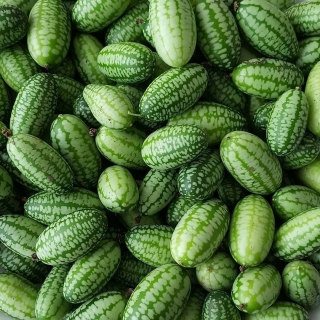 Мелотрия Колибри