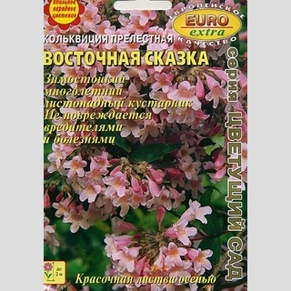 Кольквиция Восточная сказка (прелестная)