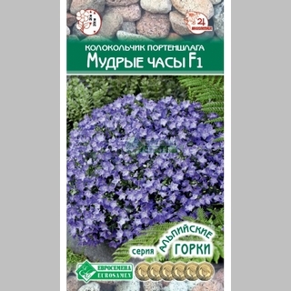 Колокольчик Мудрые Часы портеншлага