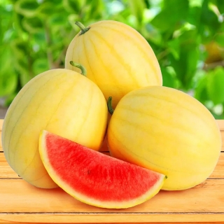 Арбуз Конничива F1