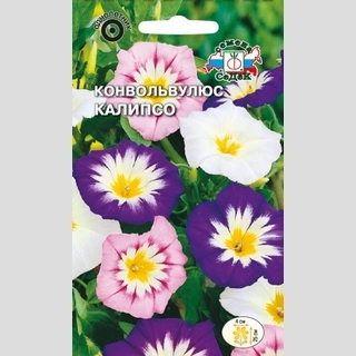 Конвольвулюс Калипсо (вьюнок)