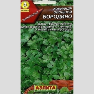 Кориандр Бородино