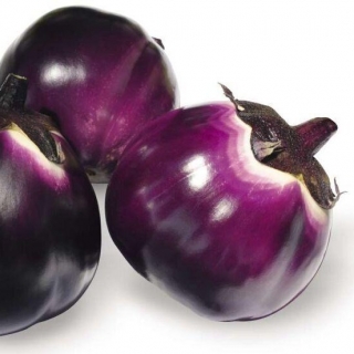 Баклажан Королева Марго