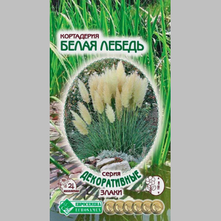 Кортадерия Белая лебедь