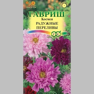 Космея Радужные переливы махровая