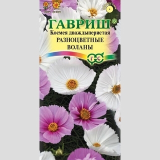 Космея Разноцветные воланы смесь