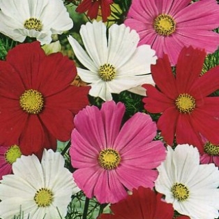 Космос Звездные блики смесь