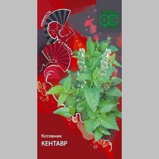 Котовник Кентавр