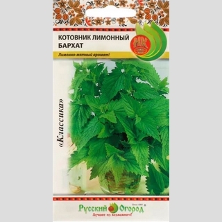 Котовник лимонный Бархат