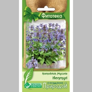 Котовник Нептун мусина