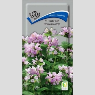 Котовник Розовая пантера