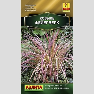 Ковыль Фейерверк