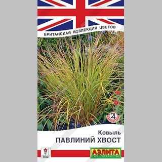 Ковыль Павлиний хвост