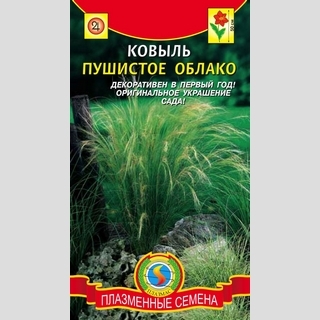 Ковыль Пушистое Облако