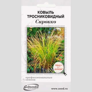 Ковыль Сирокко тросниковидный (Анемантеле новозеландский)