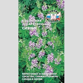 Козлятник Сияние лекарственный