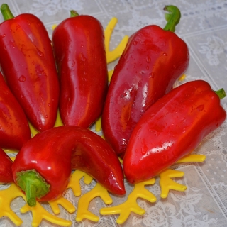 Перец Красный Галстук