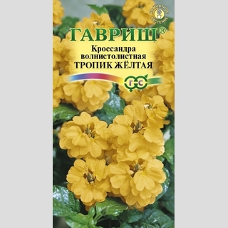 Кроссандра Тропик желтая