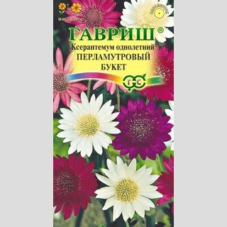 Ксерантемум Перламутровый букет