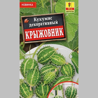 Кукумис декоративный Крыжовник