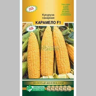 Кукуруза Карамело F1