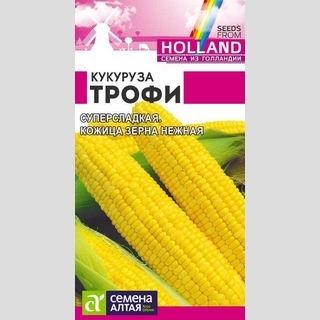 Кукуруза Трофи